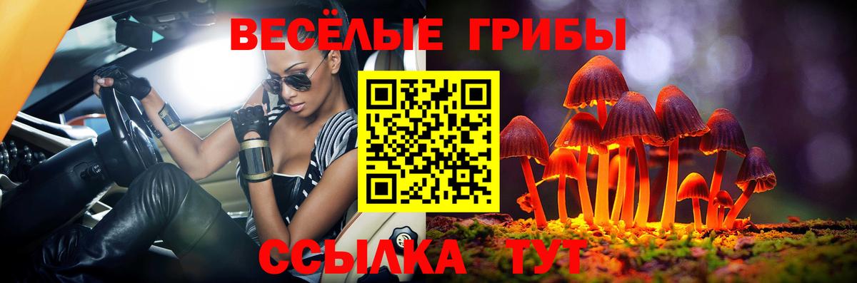 Иваново  Псилоцибиновые грибы ЛСД  Вход с VPN 